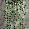 Dunelm Ivy Warm White LED Curtain -Wall Lights Shop 30746278