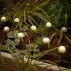 Dunelm 10 Solar Mushroom String Lights -Wall Lights Shop 30746874