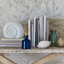 Natural History Museum Porcelain Ammonite Lamp -Wall Lights Shop 30803328 alt06